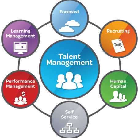 Strategic Human Resource & Talent Management